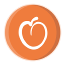 Peach Payments company logo