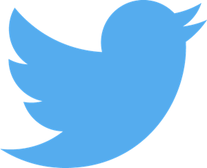 Twitter icon
